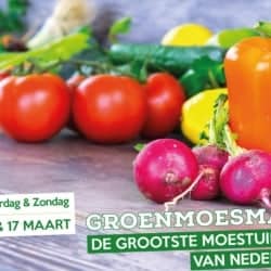 groenmoesmarkt