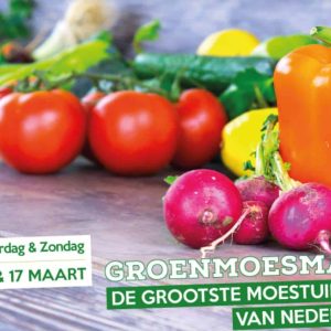 groenmoesmarkt